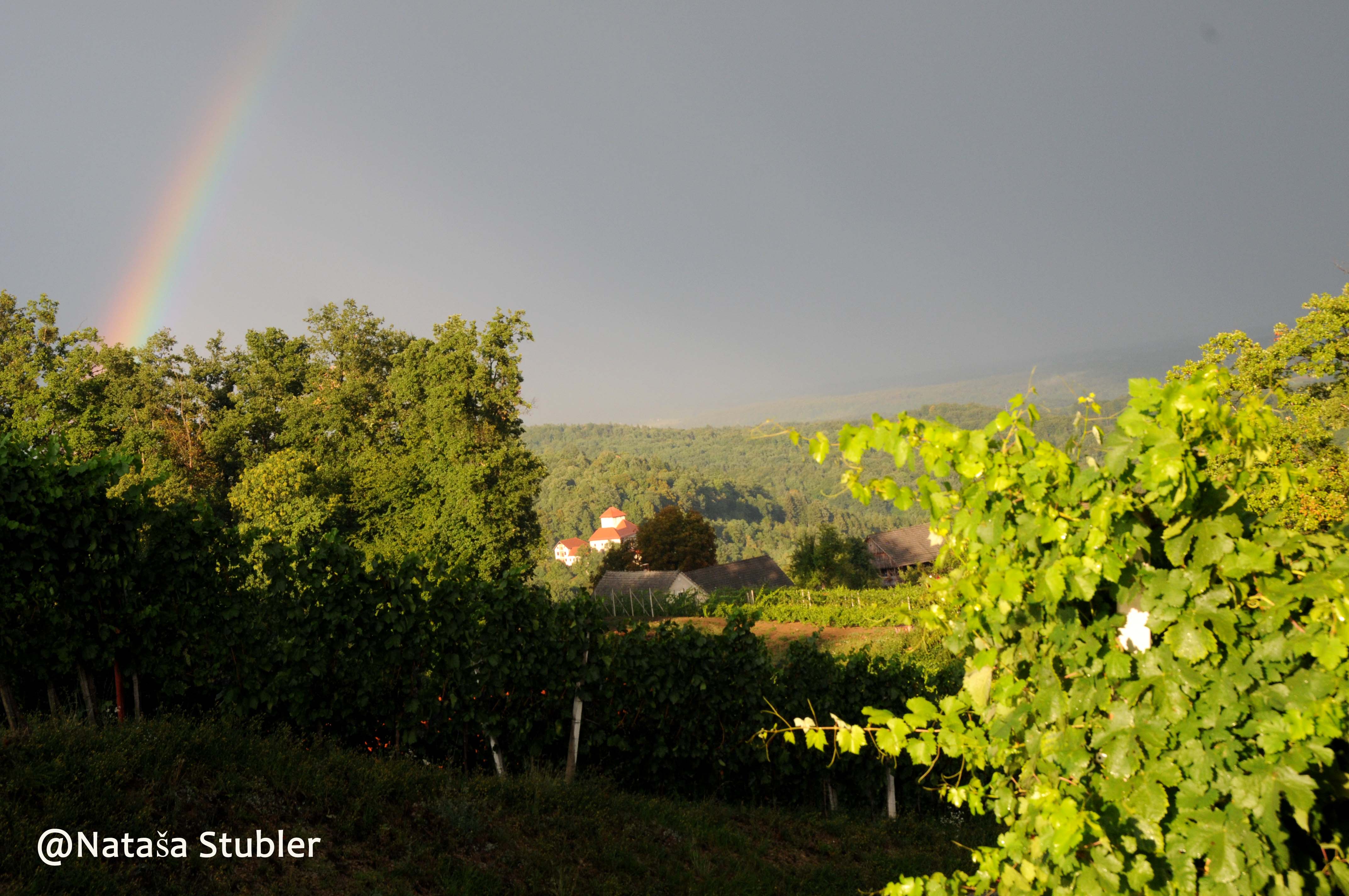 Stari grad 2015©Nataša Stubler